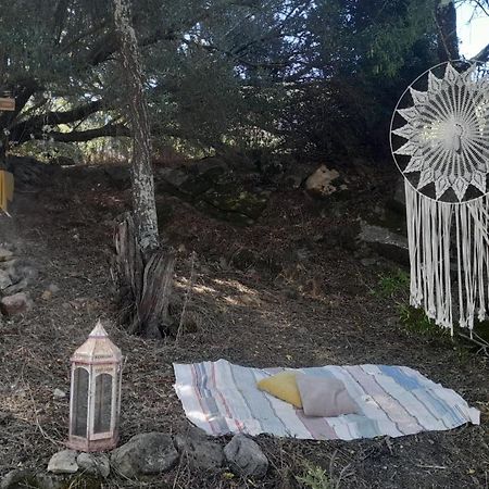 Biovilla Sustentabilidade Palmela Εξωτερικό φωτογραφία